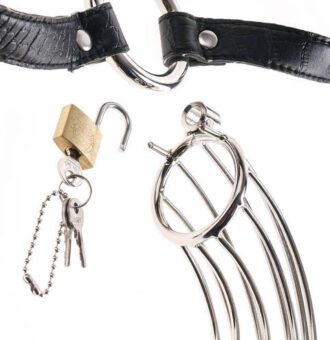 Pipedream Sex Toys - Fetish Fantasy Extreme the Prisoner - Black