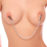 Pipedream Sex Toys - Nipple Chain Clips - Silver