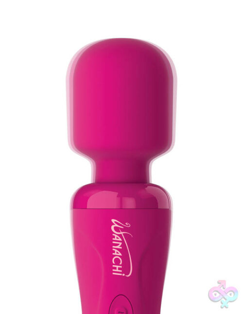 Pipedream Sex Toys - Wanachi Body Recharger Pink