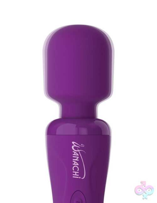 Pipedream Sex Toys - Wanachi Body Recharger Purple