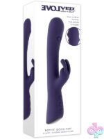 Purple curved rabbit vibrator with dual bunny ears and G-spot tapping shaft by Evolved Novelties