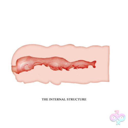 Pretty Love Sex Toys - Crazy Bull Masturbator Sleeve - Isabel