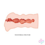 Pretty Love Sex Toys - Crazy Bull Masturbator Sleeve - Leila