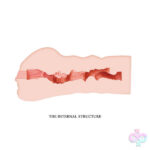 Pretty Love Sex Toys - Crazy Bull Masturbator Sleeve - Mavis