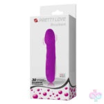 Pretty Love Sex Toys - Pretty Love Reuben - 30 Function - Purple