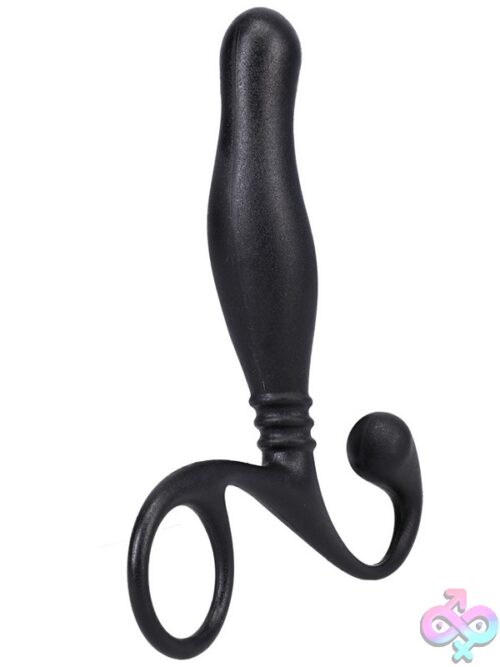 Prostate Massager In A Bag - Image 3
