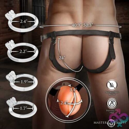 Pussy Chastity Cage - Light - Image 3