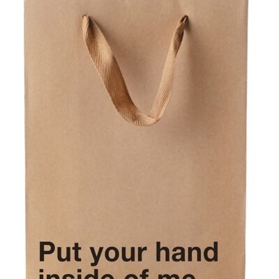 Snarky cheeky printed kraft paper gift bag with brown ribbon handle by Wood Rocket