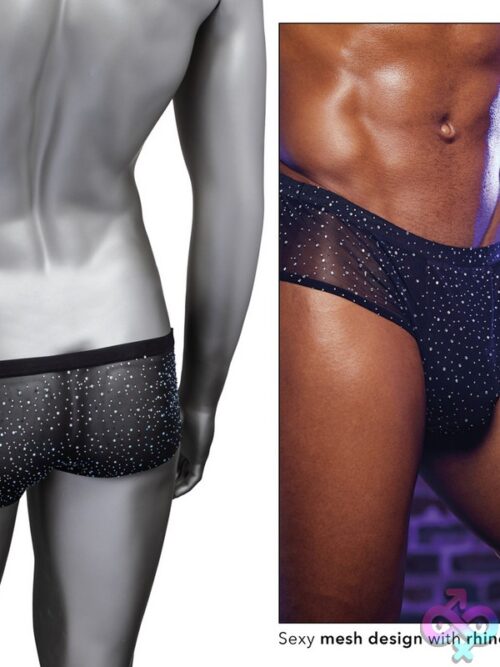 Radiance Classic Briefs - Image 3
