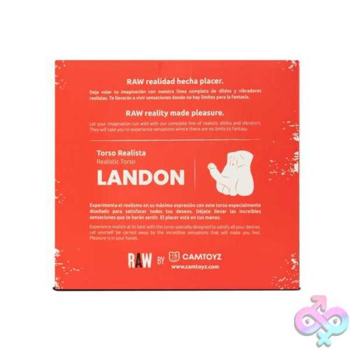 Raw Realistic Torso Landon - Image 2