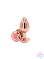 Anal Plugs for Anal