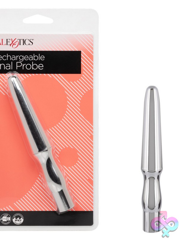 Discreet-Toys-Rechargeable-Anal-Probe-Silver-Nu-Se-0524-20-2 Sleek Tapered Silver Rechargeable Anal Probe By California Exotic Novelties