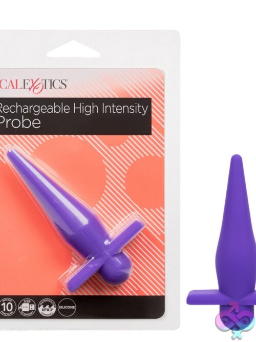 Rechargeable High Intensity Vibrating Anal Probe In Black And Purple Silicone