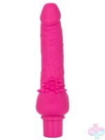 Vaginal and Clit Vibrators for Female