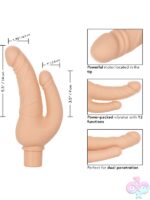 Realistic Looking Cocks for Female