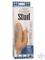 Realistic Looking Cocks for Female