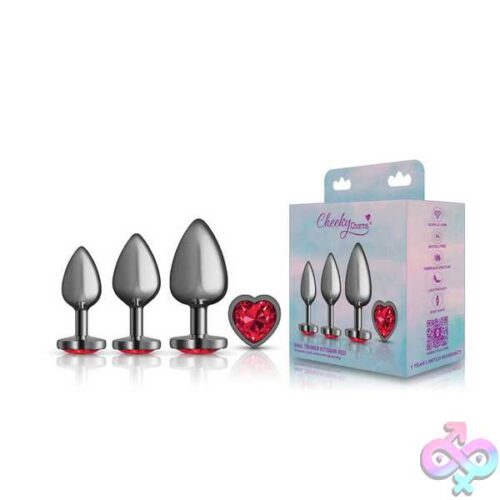 Red Heart Gem Anal Trainer Kit - Gunmetal - Image 3