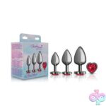Red Heart Gem Anal Trainer Kit - Gunmetal - Image 4