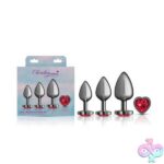Red Heart Gem Anal Trainer Kit - Gunmetal - Image 5