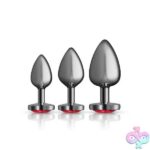 Red Heart Gem Anal Trainer Kit - Gunmetal - Image 6