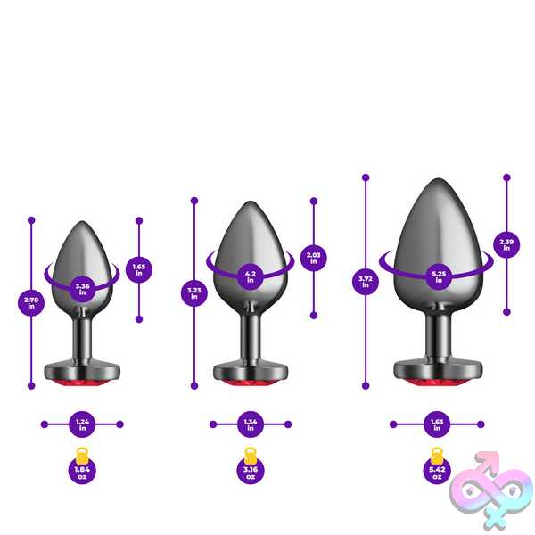 Discreet-Toys-Red-Heart-Gem-Anal-Trainer-Kit-Gunmetal-Vb-Cc9152 Red Heart Gem Anal Trainer Kit - Gunmetal - Image 1
