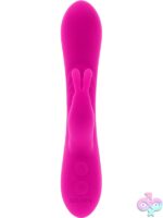 Robust Rabbit - Image 3