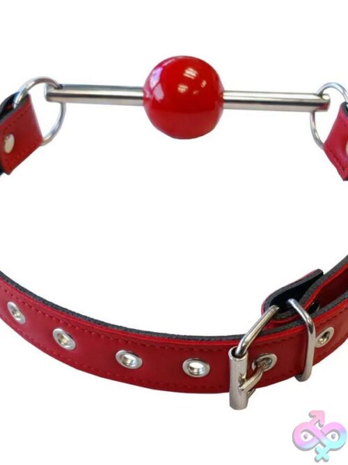 Rouge Leather Ball Gag With Removable Red Ball – Black Leather Strap - Image 2