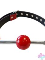 Adjustable black leather ball gag with removable red rubber ball and polished stainless steel hardware by Rouge Garments