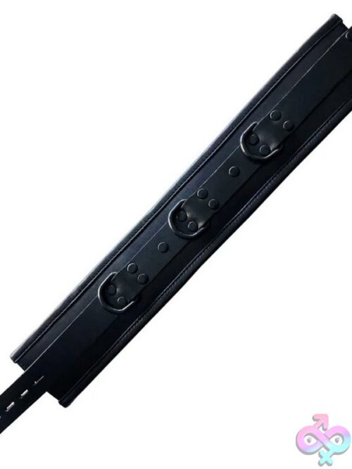 Rouge Leather Black Padded Collar With Black Hardware - Image 4