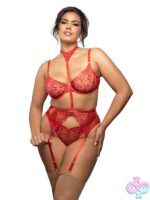 Ruby red shimmer lace and mesh three-piece bra, garter belt, and g-string set by Fantasy Lingerie