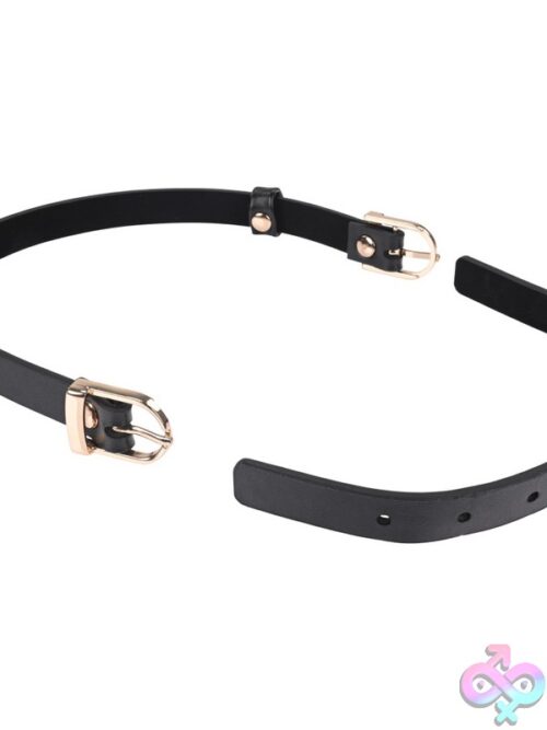 S&Amp;M Double Buckle Day Collar - Image 3