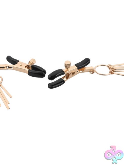 Verge Adjustable Nipple Clamps - Image 3