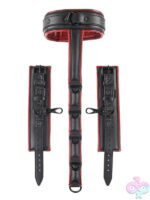 Collars for Bondage