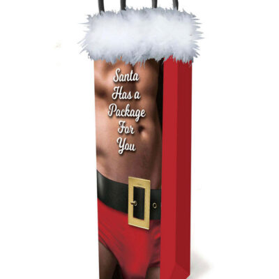 Santa Has a Big Package gift bag by Little Genie — holiday novelty gift bag