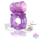 Charged Big O -Purple - Each - Image 4