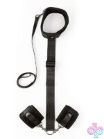 Sei Mio Neck & Wrist Restraint Kit - Image 2