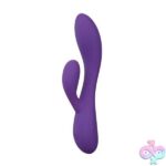 Sexy Things - Fever Dream - Purple - Image 2