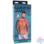 Signature Cocks - Quinton James - 9.5 Inch Ultraskyn Cock With Removable Vac-U-Lock Suction Cup - Image 6