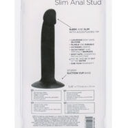 Suction Mounted Plugs for Anal