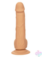 Suction Mounted Dildos for Female