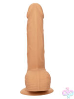 Suction Mounted Dildos for Female