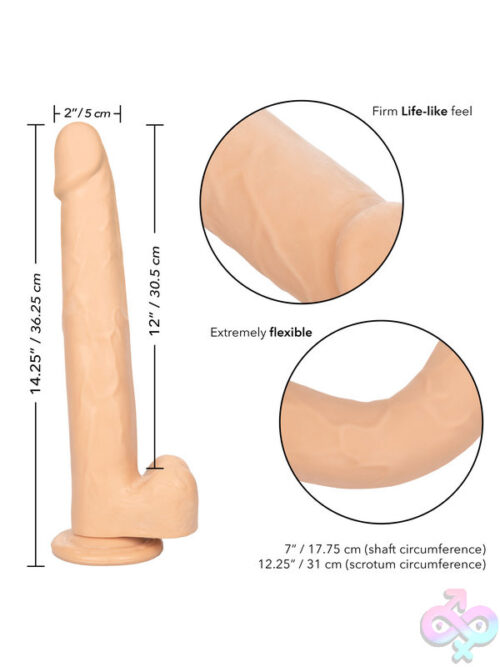 Large and Thick Dildos for Female
