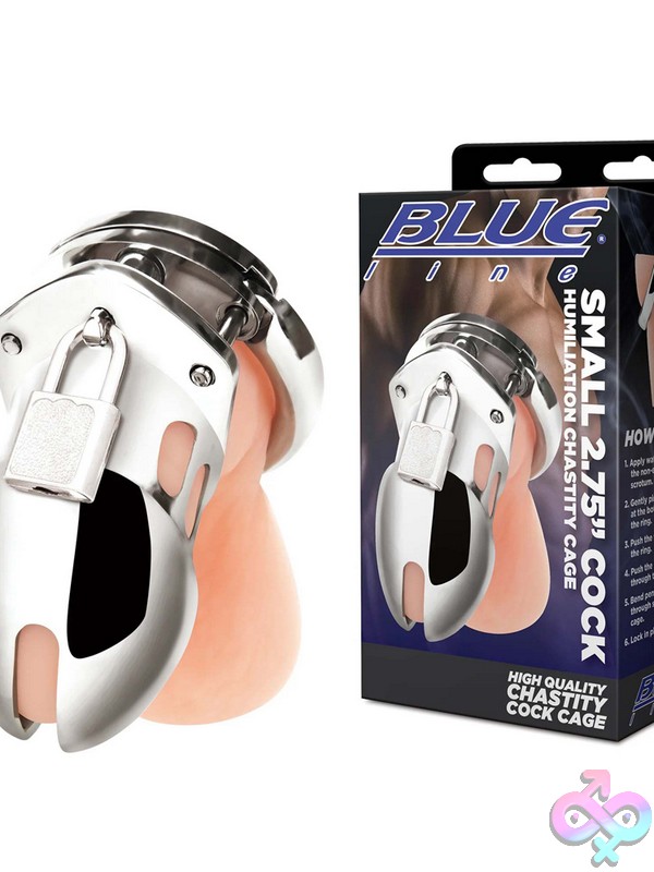 Discreet-Toys-Small-2-75-Cock-Humiliation-Chastity-Cage-Nu-Blm5022 Compact White Stainless Steel Chastity Cage Small Size By Blue Line Men