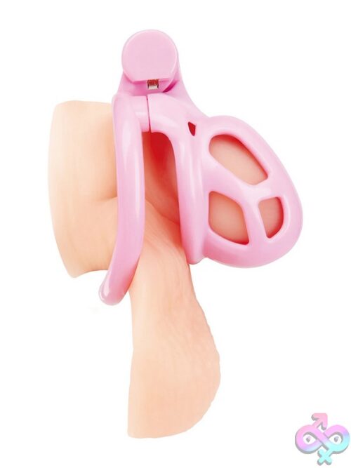 Small Pink Acrylic Prisoner Cock Cage - Image 2
