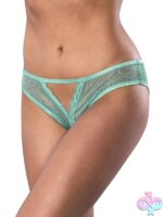 Aqua floral mesh crotchless panty with lace trims by Magic Silk