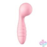 Sorbet Pinky - Image 2