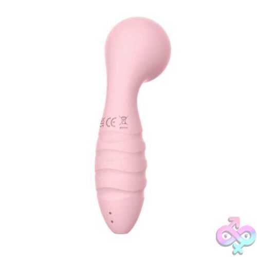 Sorbet Pinky - Image 3
