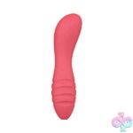 Sorbet Ruby Red - Image 2
