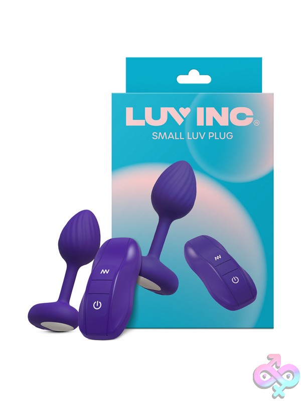 Discreet-Toys-Sp41-Luv-Plug-Purple-Small-Nu-Ll-7255-02 Small Purple Vibrating Anal Plug With Wireless Remote Control By Luv Inc