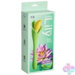 Spathe Lily Vibe Green